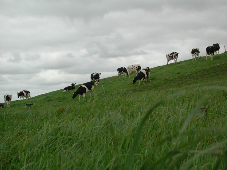 Boulteen F2.jpg 358.2K